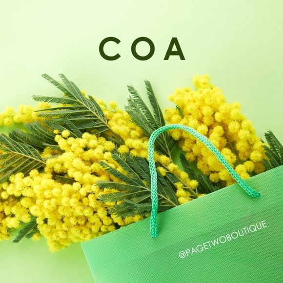 Certificate of authenticity for bags/SLG - Picture 1 of 1